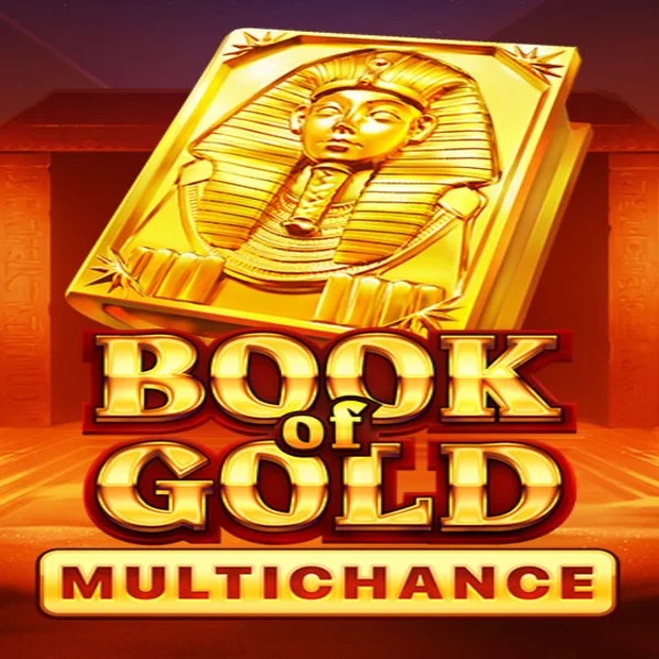 Slots logo of Book of Gold Multichance from Playson at Stake Casino