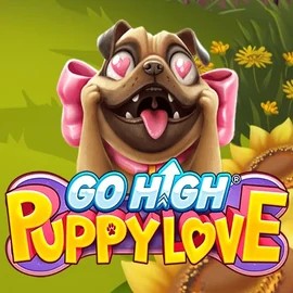 Go High Puppy Love casino game by RubyPlay – featured logo at Stake Casino