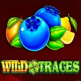 Wild Traces slot logo by Amusnet Interactive at Stake Casino